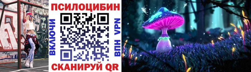 где продают   Колпашево  Галлюциногенные грибы Psilocybe 
